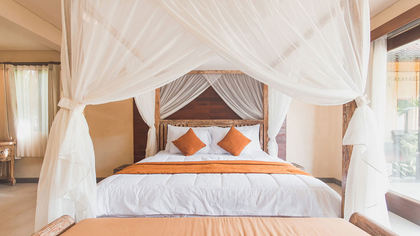 Maecenas ullamcorper